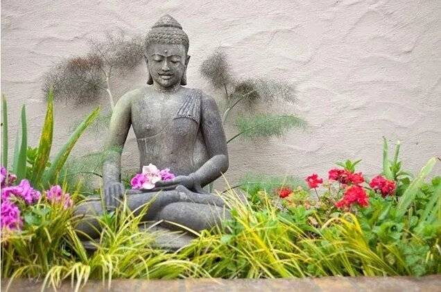 garden-statue-asian-statue-meditating-buddha-flowers-shepard-design-landscape-architecture_3908-1920w.jpg